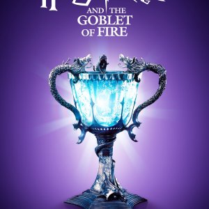 Harry Potter and the Goblet of Fire.jpg