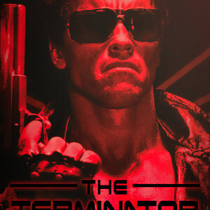 The Terminator Enhanced Edition Cover.jpg