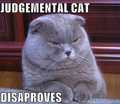 judgemental-cat-disapproves-lolcat.jpg