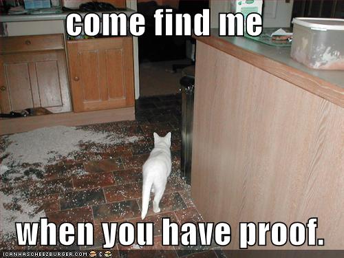 cat-suggests-you-find-proof-first.jpg