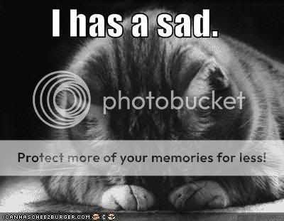 funny-pictures-sad-cat-blackandwhit.jpg