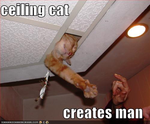 funny-pictures-ceiling-cat-creates-man.jpg