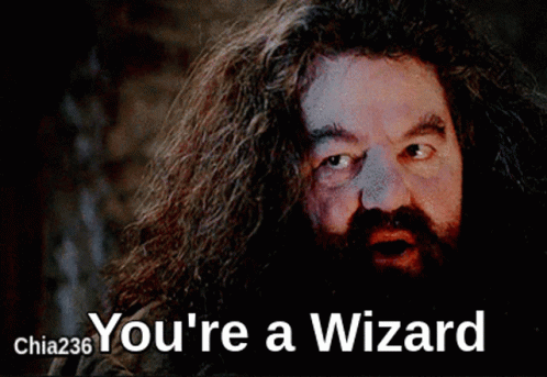youre-a-wizard-hagrid.gif